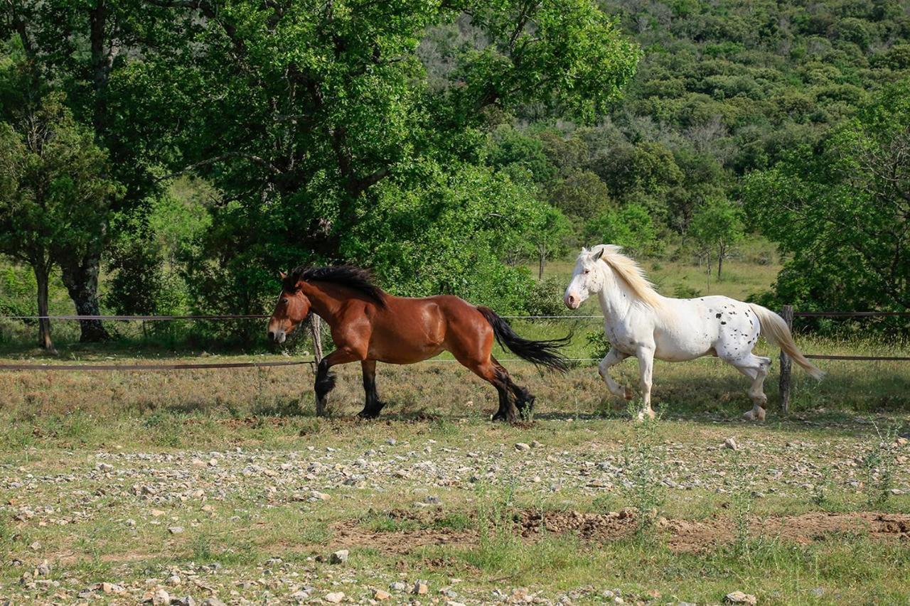 Mas Des Claparedes Montoulieu  Dış mekan fotoğraf